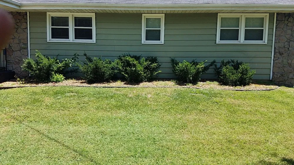 Expert landscape design with custom design in Springfield, MO by Here to Help Lawn Mowing