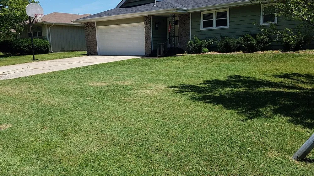 Top-rated yard cleanup service experts serving Springfield, MO - Here to Help Lawn Mowing
