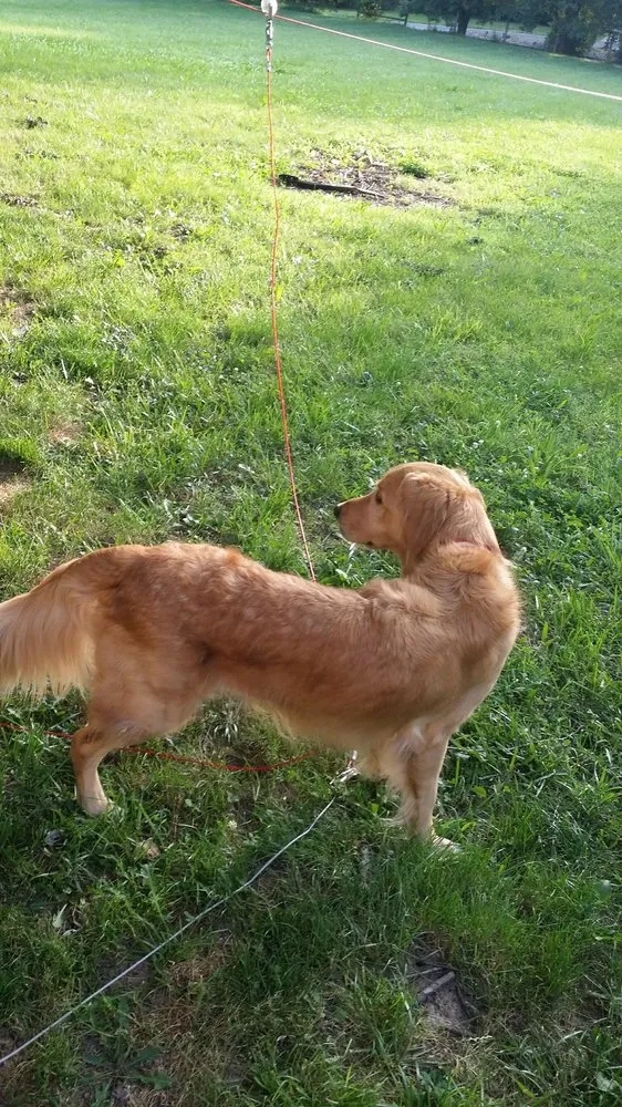 Expert outdoor landscaping in Springfield, MO - Here to Help Lawn Mowing