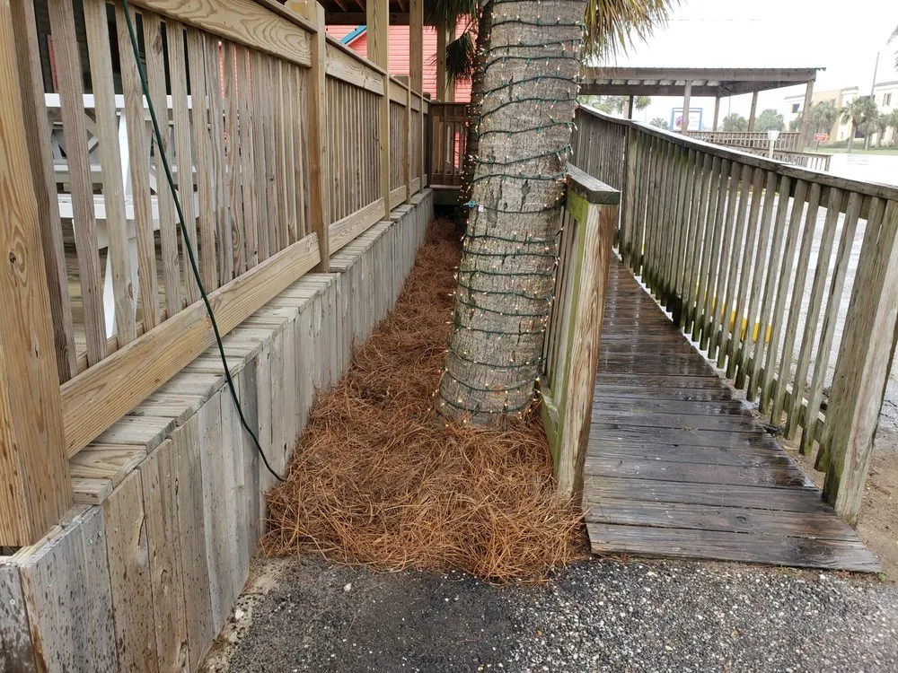 Trusted yard cleanup service for beautiful yards in Dauphin Island, AL by Here We Mow Again