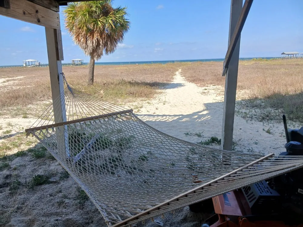 Custom yard cleanup service in Dauphin Island, AL - Here We Mow Again