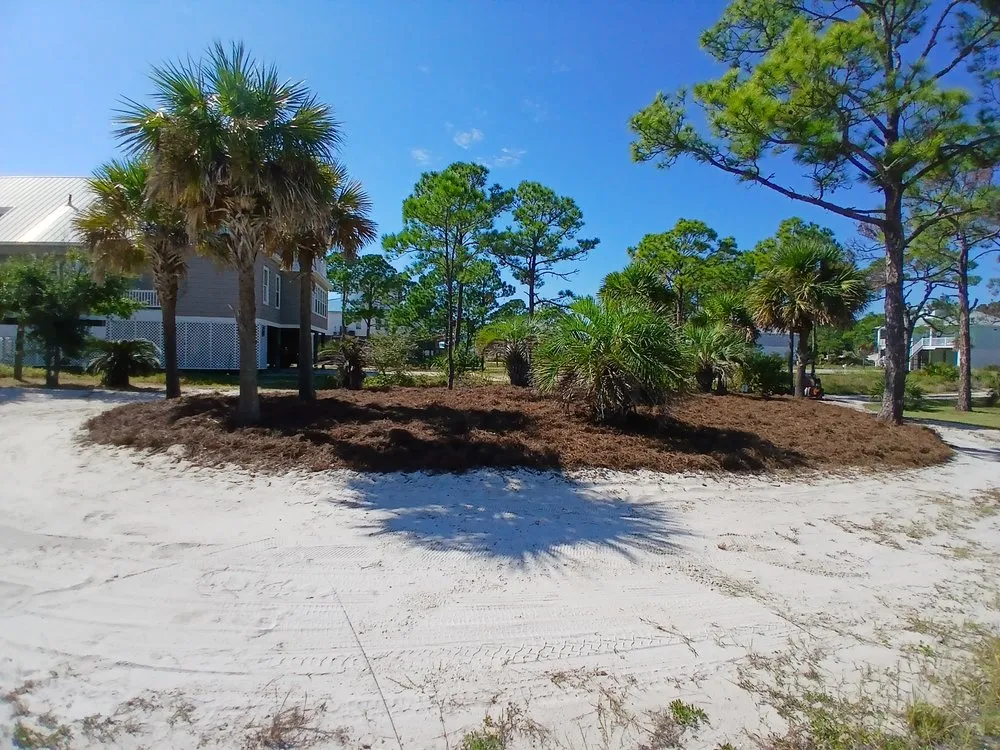Reliable landscape installation in Dauphin Island, AL - Here We Mow Again