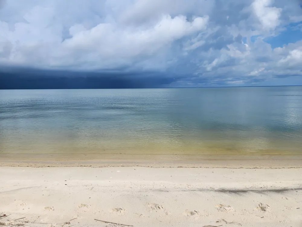 Expert landscape design for beautiful yards in Dauphin Island, AL by Here We Mow Again