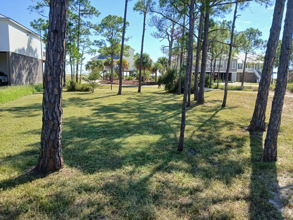 Trusted lawn care service in Dauphin Island, AL by Here We Mow Again