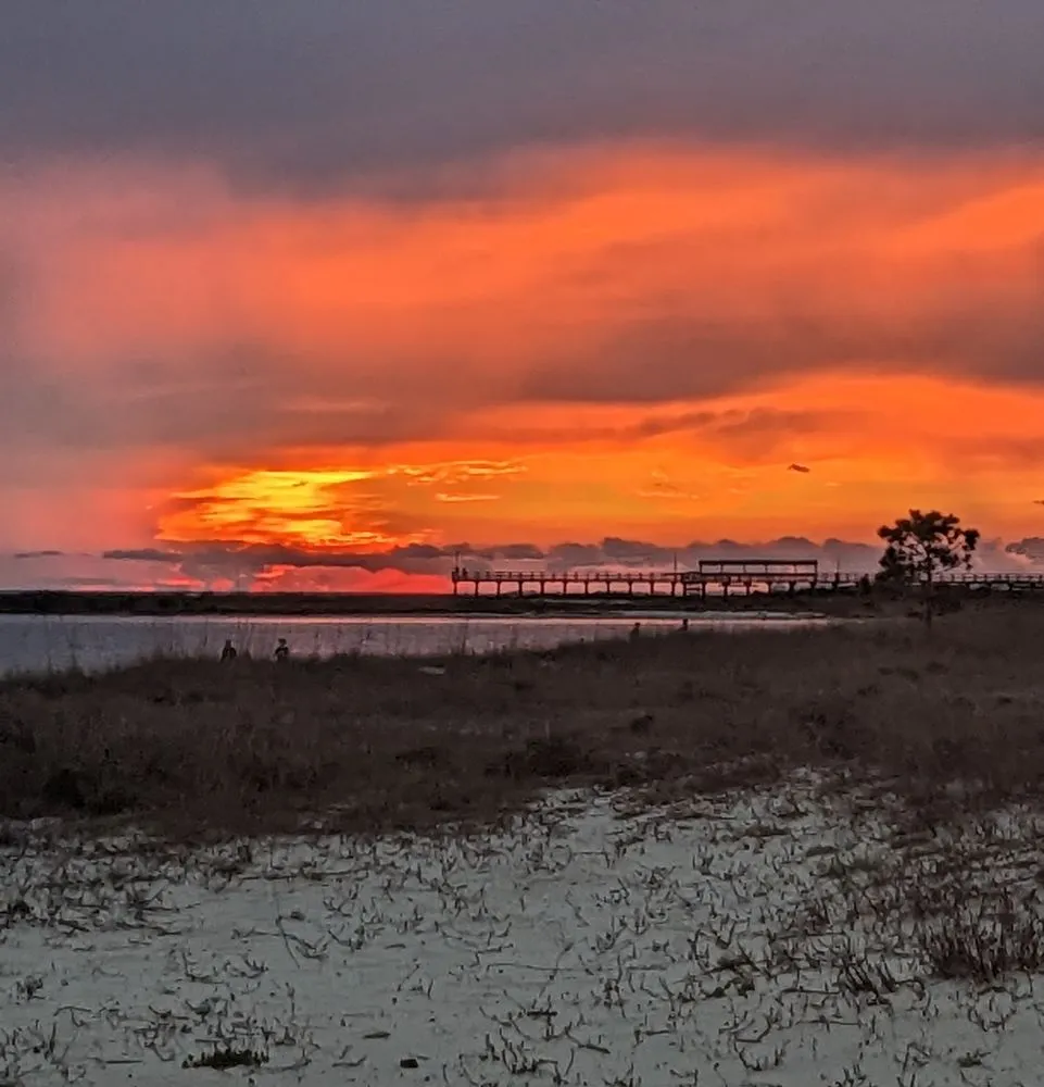 Custom landscaping services experts serving Dauphin Island, AL - Here We Mow Again