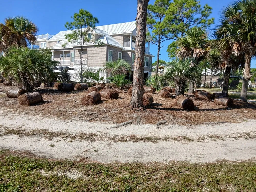 Professional landscaping services in Dauphin Island, AL - Here We Mow Again