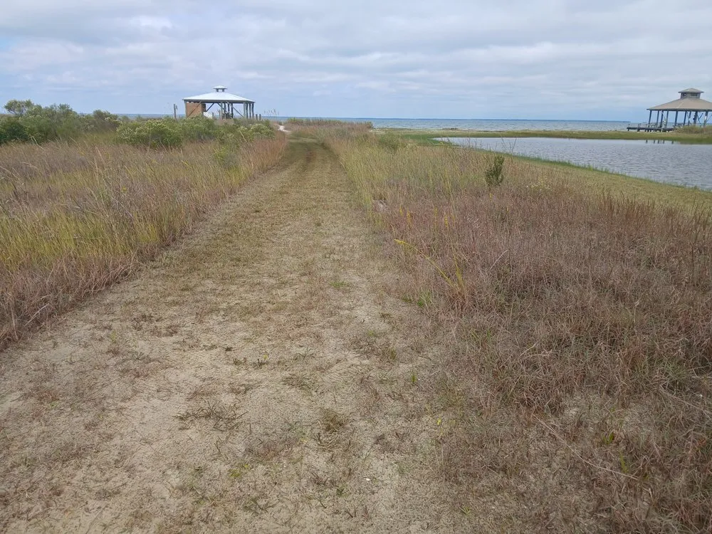 Custom landscape installation with custom design in Dauphin Island, AL by Here We Mow Again