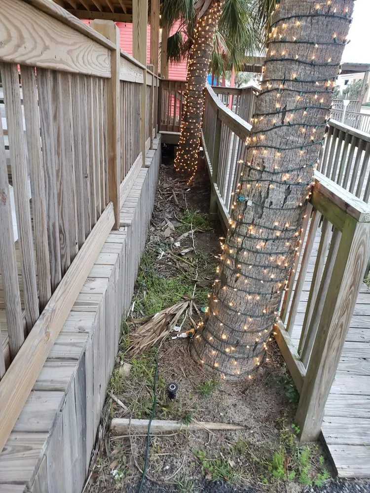 Expert landscape design for year-round maintenance in Dauphin Island, AL by Here We Mow Again