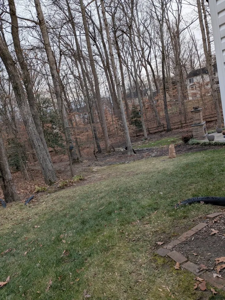 Local yard cleanup service in Woodbridge, VA - Heredia Lawn Service