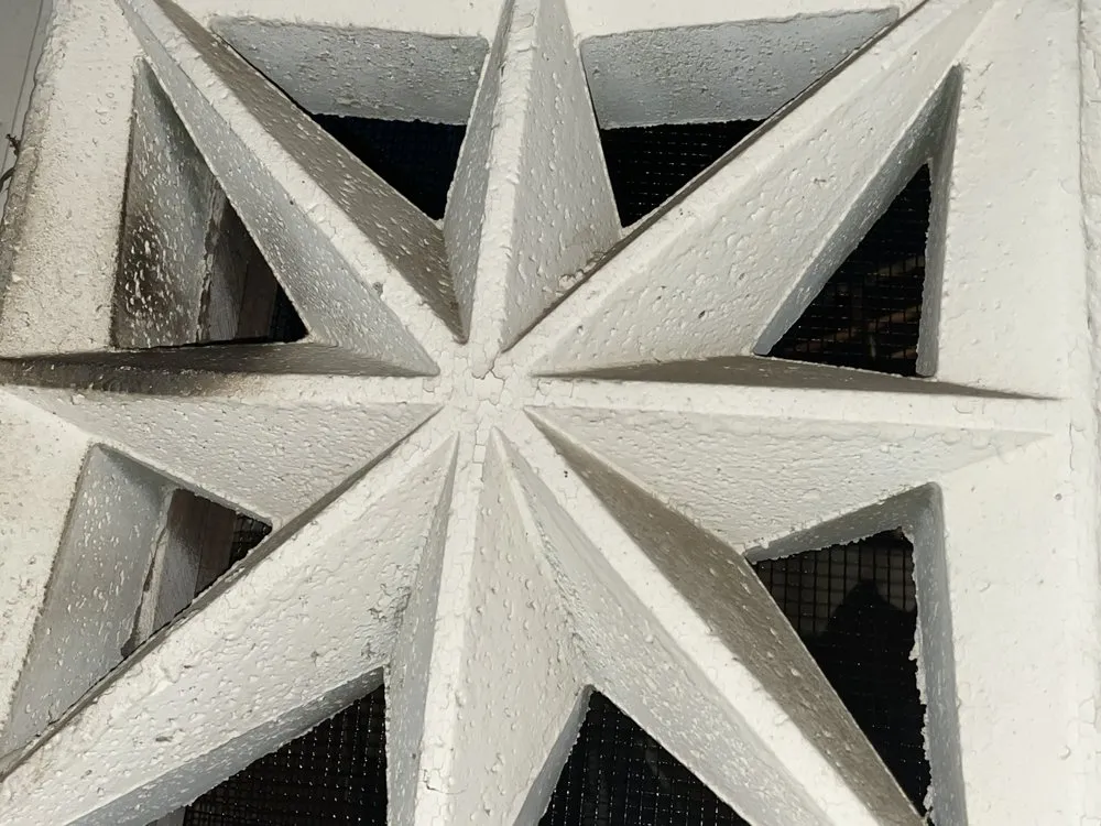 Expert yard cleanup service in INGLEWOOD, CA by Heredias Pest Solutions