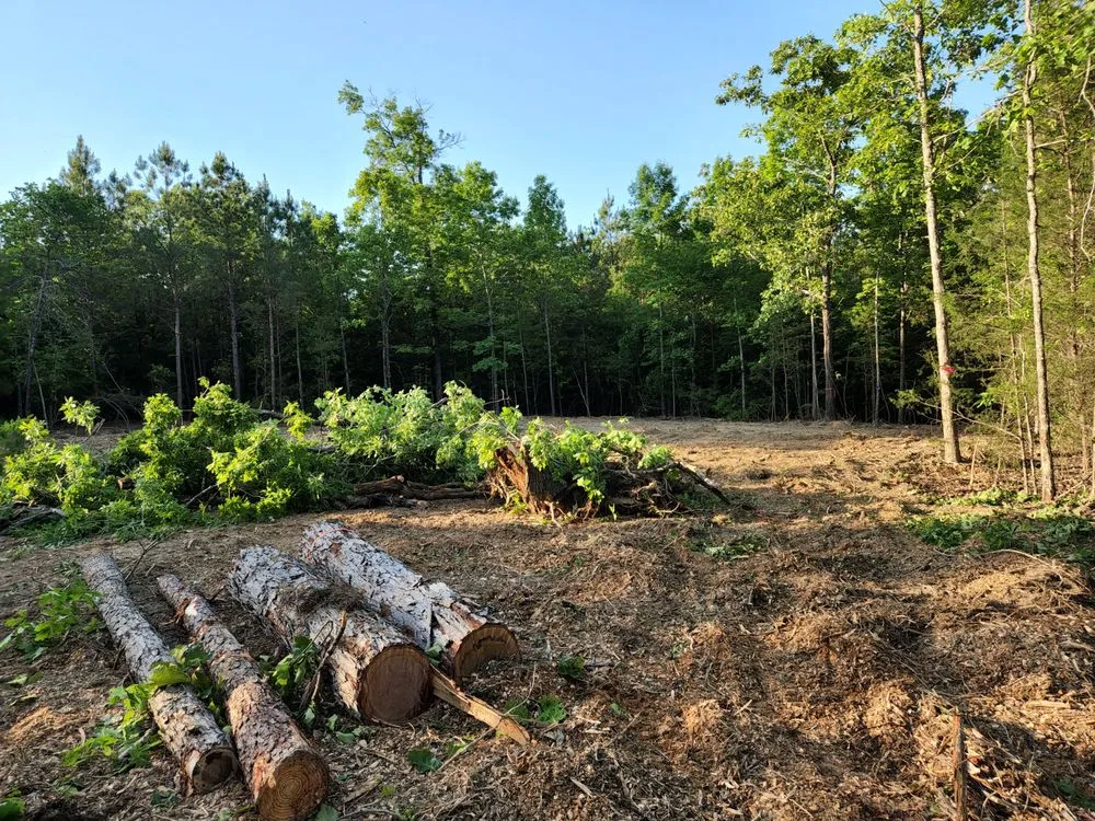 Local landscaping services in Pelion, SC - Hereford and Son