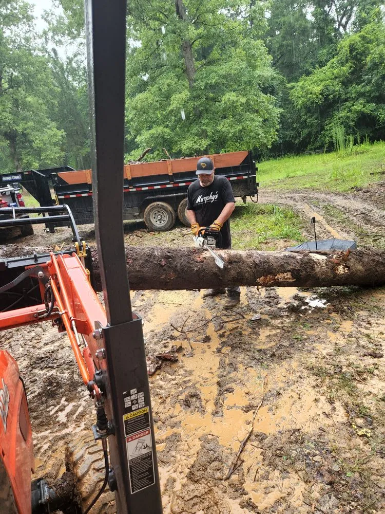 Custom landscape design experts serving Pelion, SC - Hereford and Son