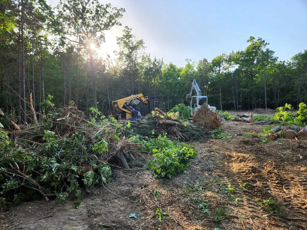 Reliable landscaping services for residential properties in Pelion, SC by Hereford and Son