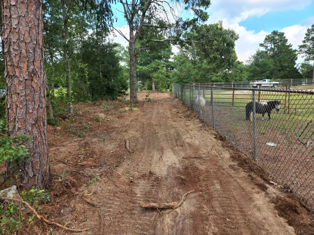 Trusted yard cleanup service for beautiful yards in Pelion, SC by Hereford and Son