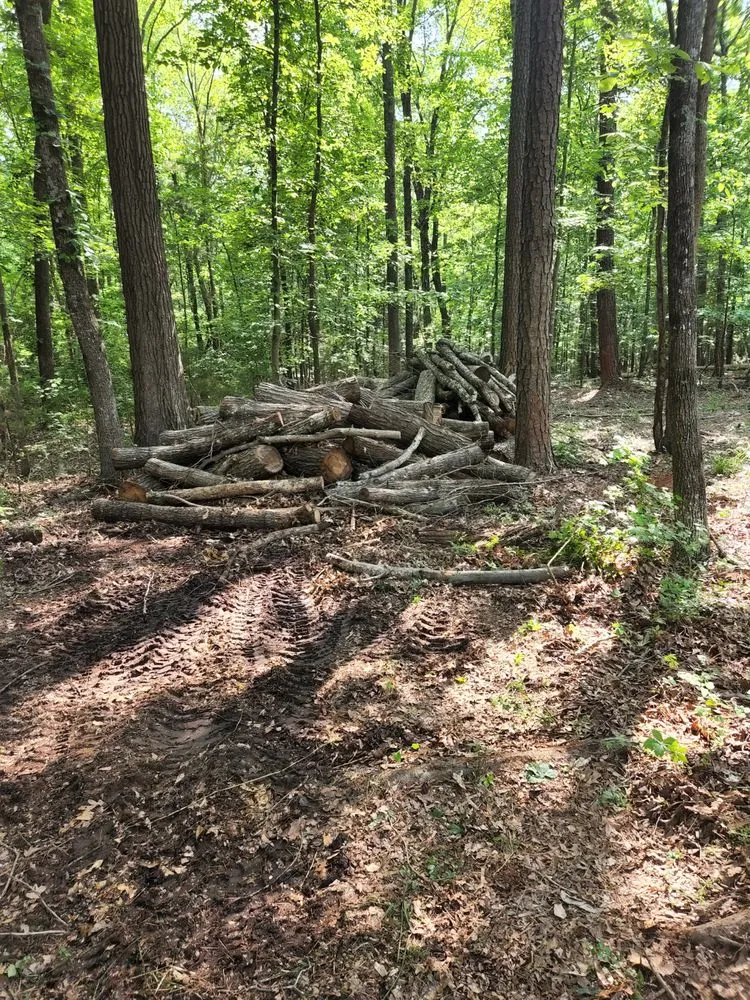 Reliable landscape installation near you across Pelion, SC - Hereford and Son