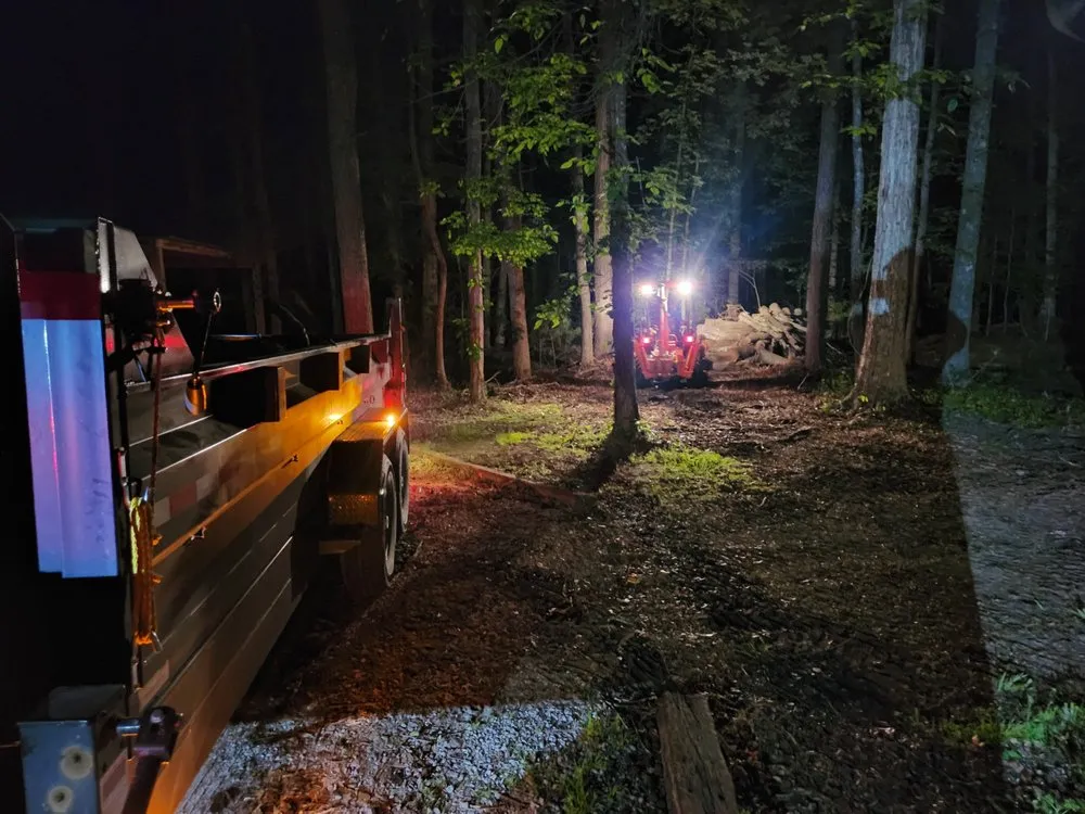 Reliable lawn care service experts serving Pelion, SC - Hereford and Son