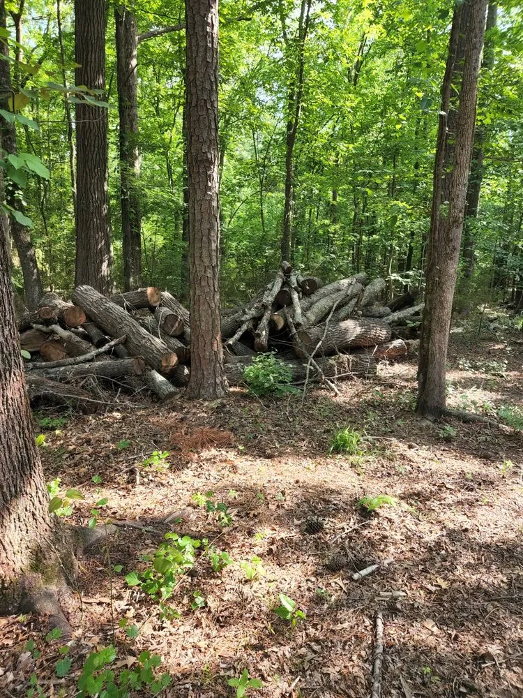 Professional garden landscaping near you across Pelion, SC - Hereford and Son