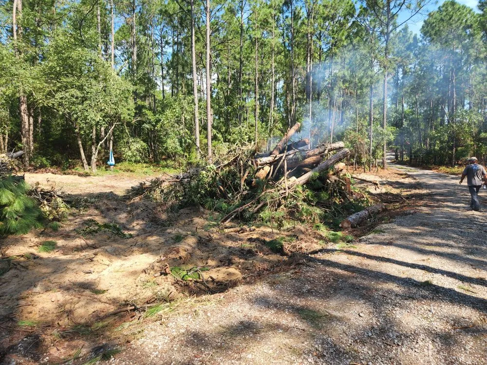 Expert yard cleanup service in Pelion, SC by Hereford and Son