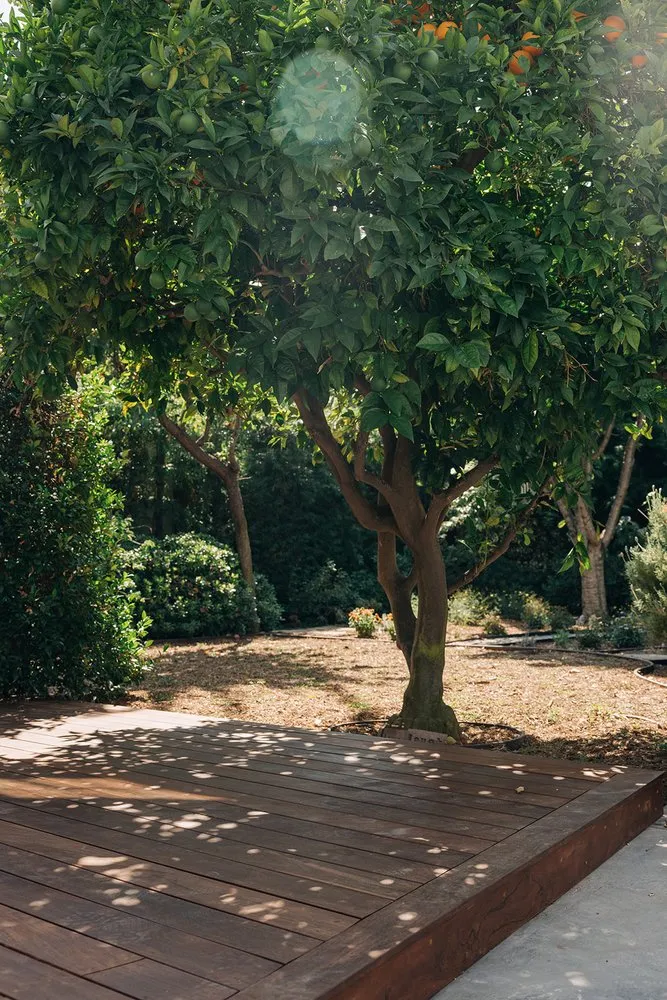 Top-rated yard cleanup service in Los Angeles, CA - Herencia Landscaping