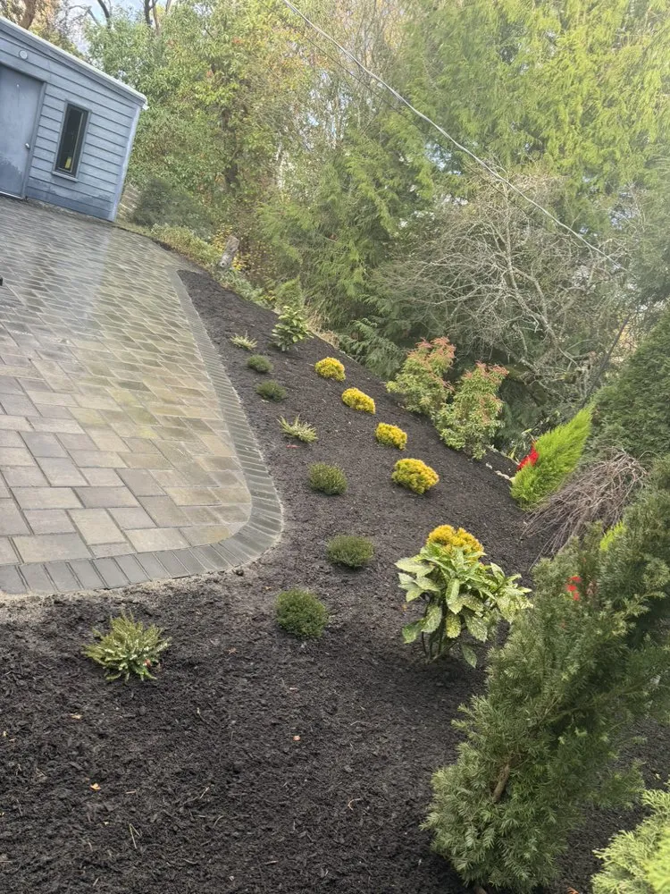 Reliable landscaping services for homes in Seattle, WA by Hergom Landscaping