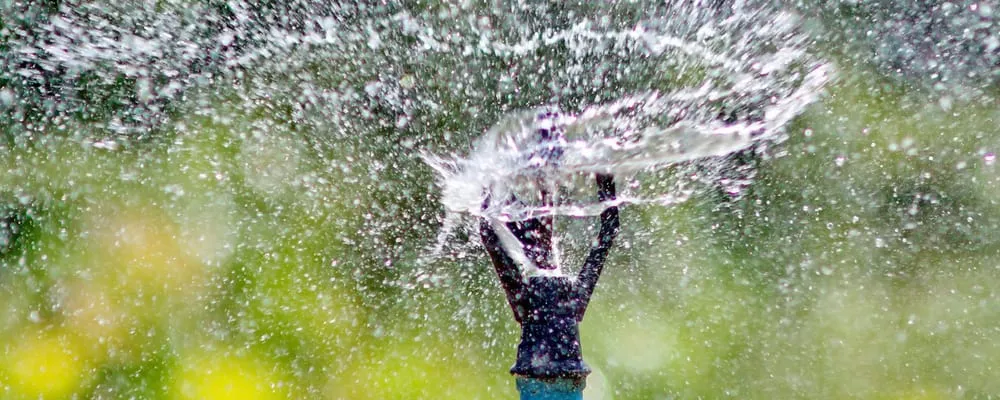 Custom outdoor landscaping experts serving West Palm Beach, FL - Heriberto Velasquez Landscaping