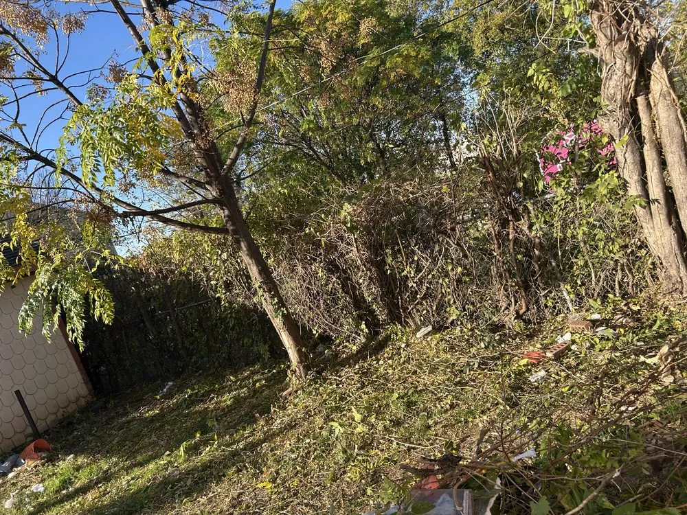 Professional residential landscaping in Dallas, TX - Heribertoz Lawn and Trimming