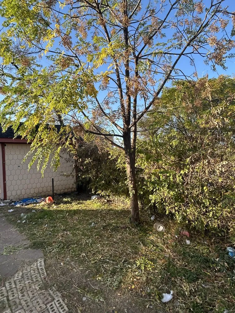 Expert landscape installation in Dallas, TX - Heribertoz Lawn and Trimming