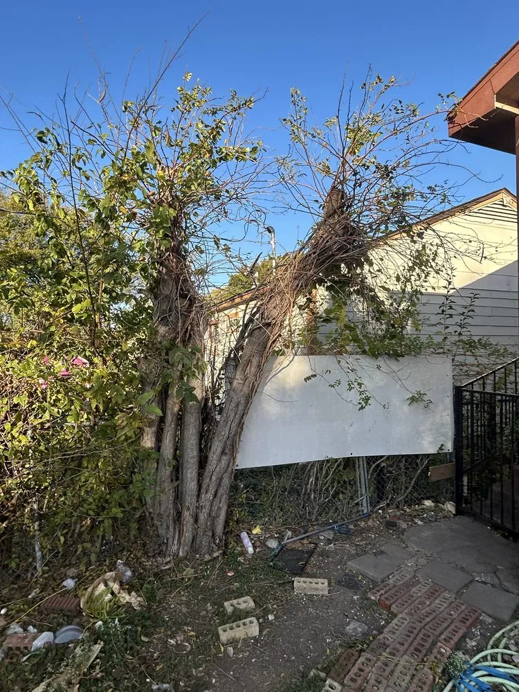 Expert landscaping services in Dallas, TX by Heribertoz Lawn and Trimming