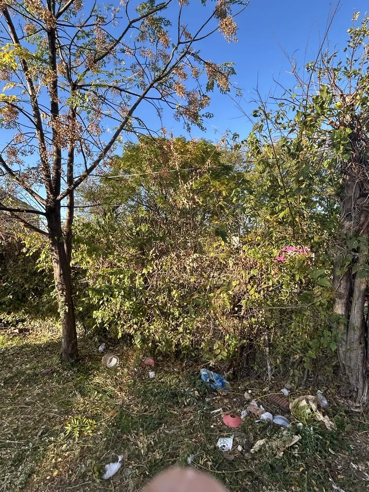 Affordable outdoor landscaping in Dallas, TX by Heribertoz Lawn and Trimming