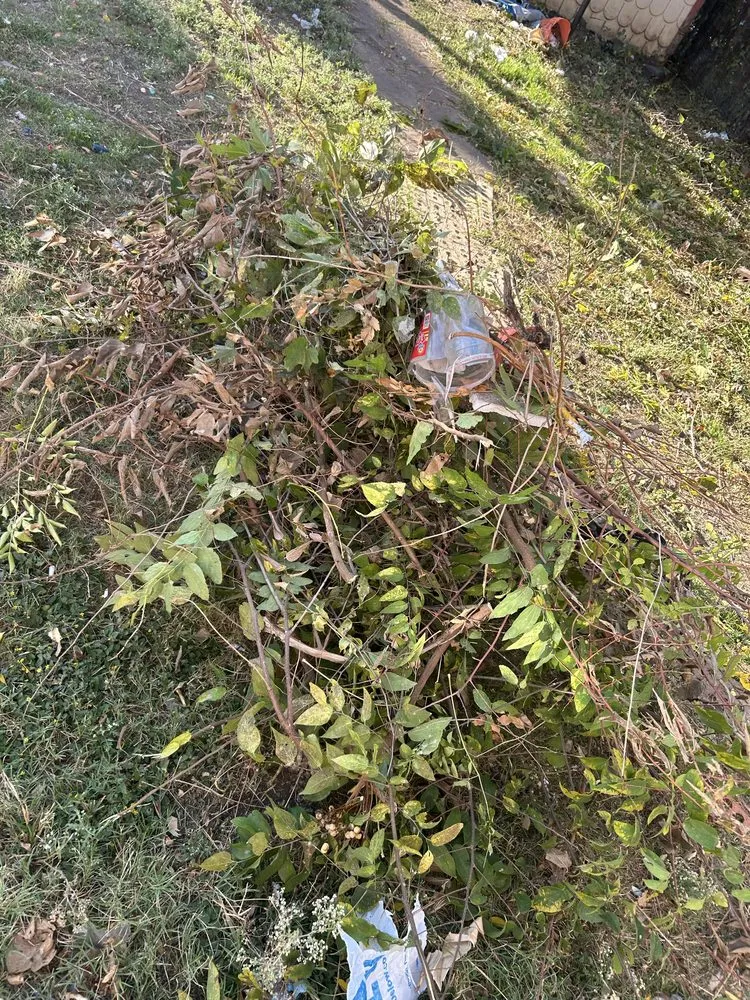 Local landscape installation for outdoor upgrades in Dallas, TX by Heribertoz Lawn and Trimming