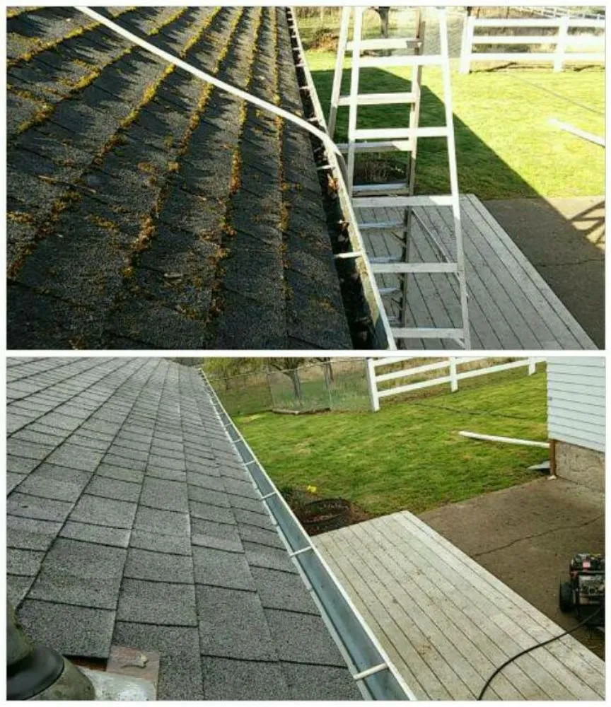 Top-rated landscaping services experts serving Lakewood, WA - Herick's Landscaping