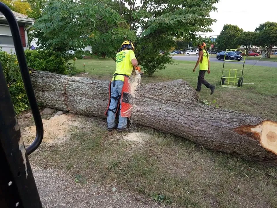 Affordable lawn care service in Poquoson, VA by Heritage Gardens Tree and Lawn Care