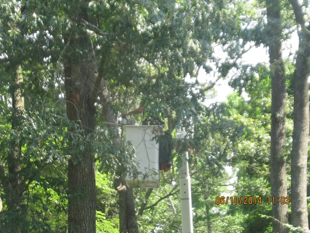 Expert garden landscaping in Poquoson, VA by Heritage Gardens Tree and Lawn Care