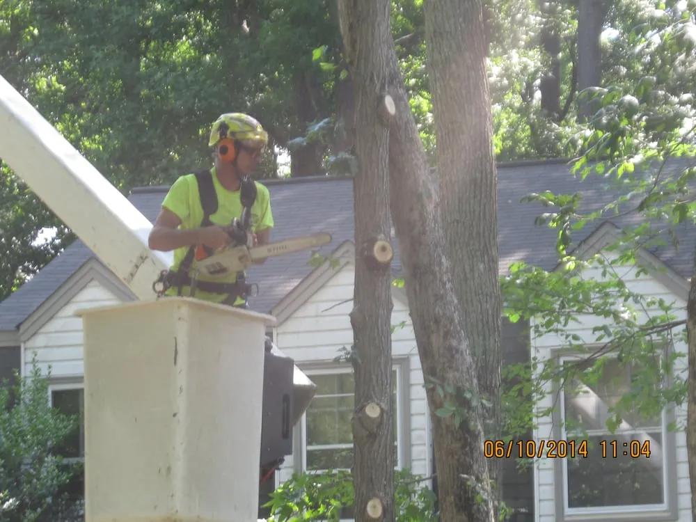 Expert yard cleanup service in Poquoson, VA by Heritage Gardens Tree and Lawn Care