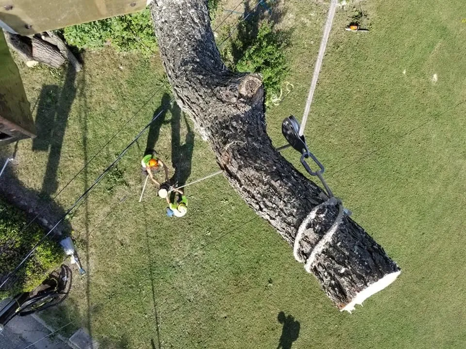 Custom garden landscaping experts serving Poquoson, VA - Heritage Gardens Tree and Lawn Care