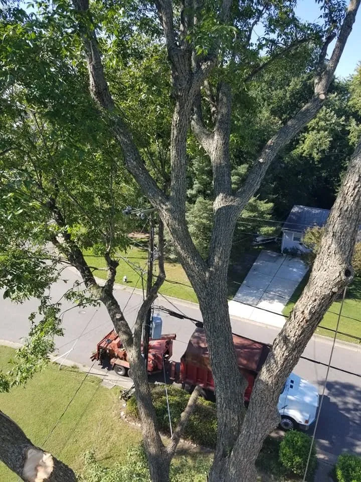 Trusted landscape installation experts serving Poquoson, VA - Heritage Gardens Tree and Lawn Care