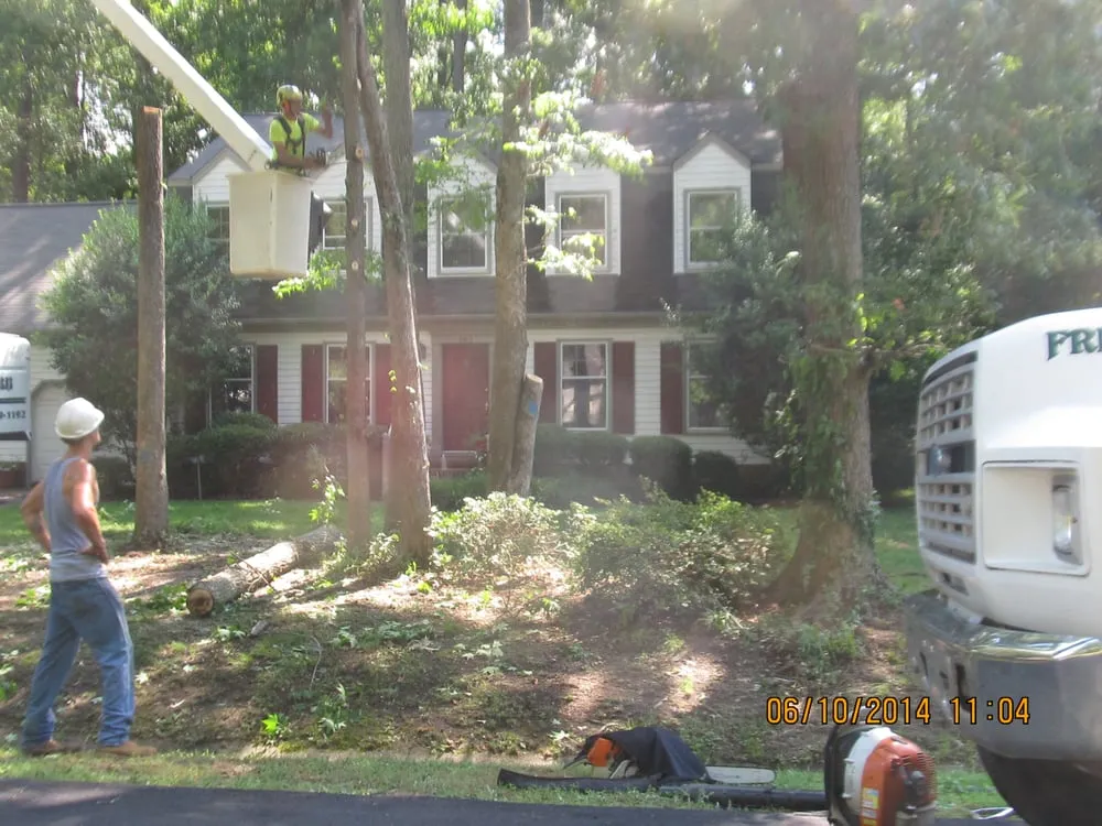 Trusted yard maintenance in Poquoson, VA by Heritage Gardens Tree and Lawn Care
