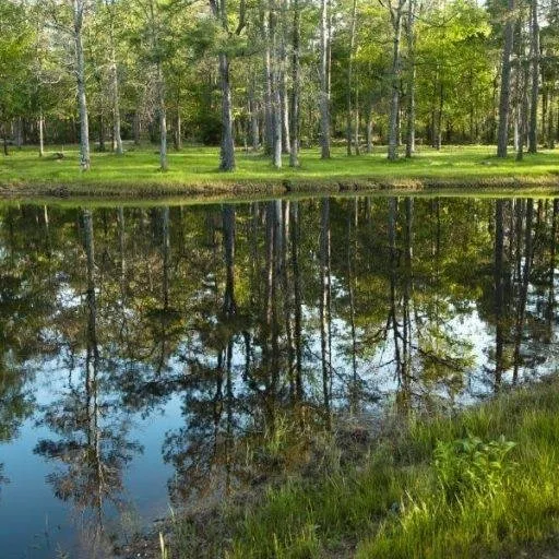 Expert landscape design for outdoor upgrades in Huntsville, TX by Heritage Land Improvements