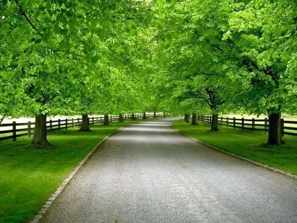 Custom landscape installation for beautiful yards across Huntsville, TX - Heritage Land Improvements