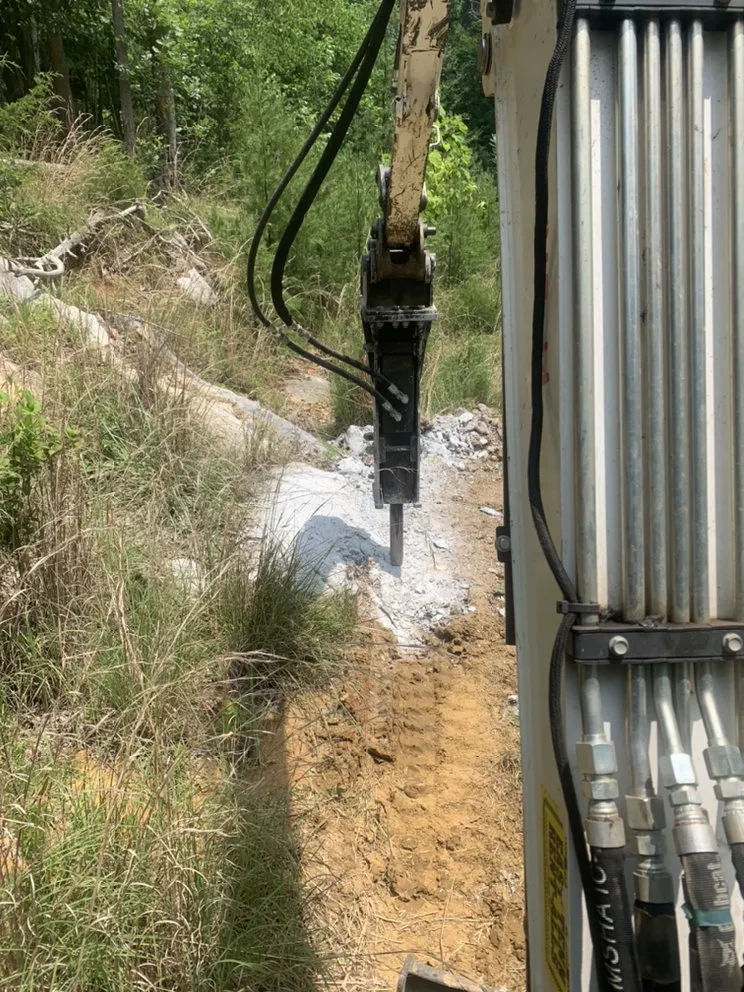 Expert yard cleanup service experts serving Elizabethton, TN - Heritage Land Management