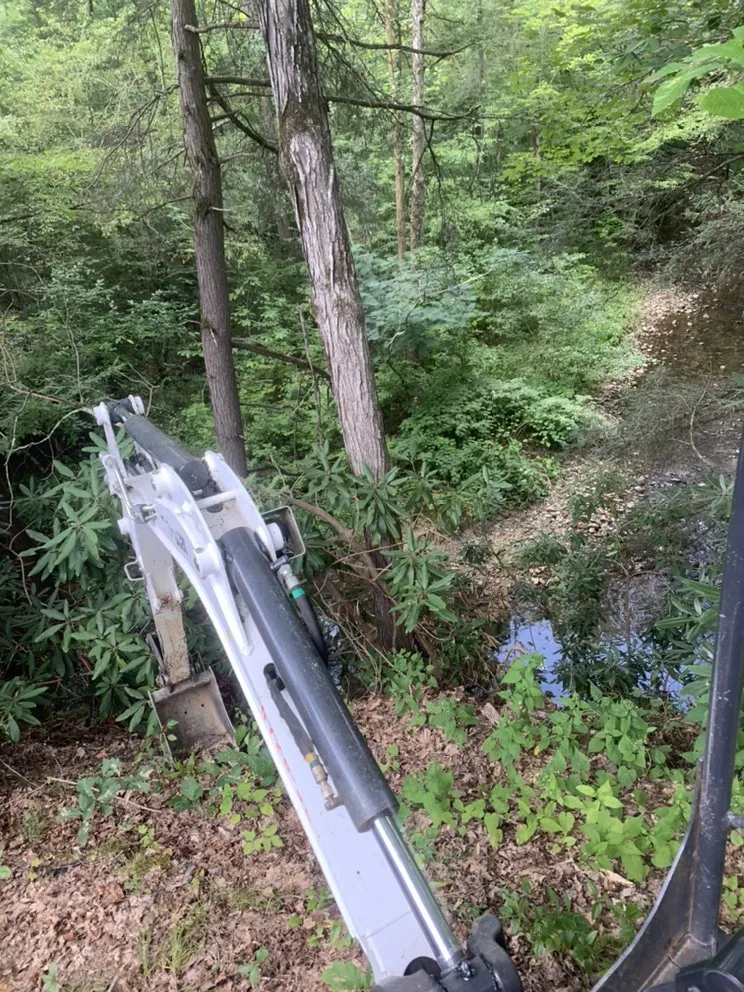 Trusted yard cleanup service experts serving Elizabethton, TN - Heritage Land Management