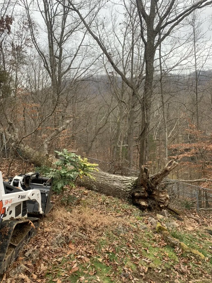 Professional lawn care service for outdoor upgrades across Elizabethton, TN - Heritage Land Management