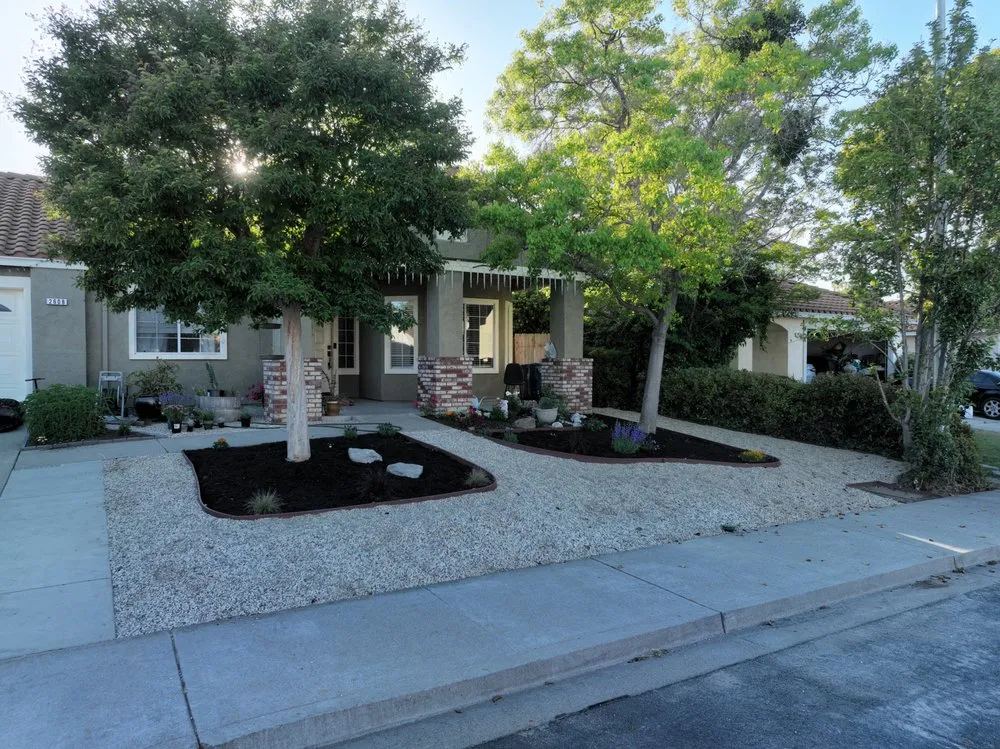 Top-rated lawn care service for year-round maintenance in Antioch, CA by Heritage Landscape & Design