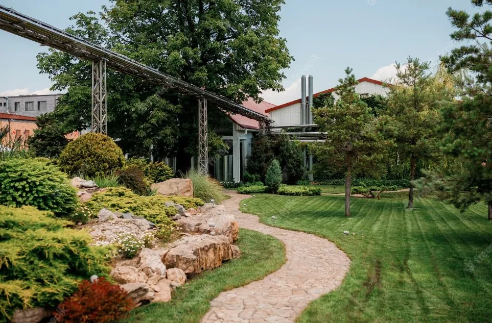 Custom yard maintenance for outdoor upgrades across Santa Ana, CA - Heritage Landscape & Trees