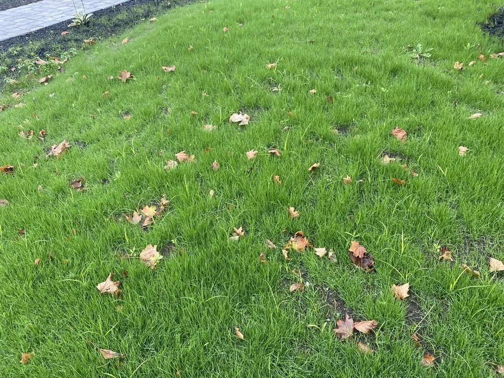 Reliable yard maintenance near you in North Reading, MA by Heritage Landscape