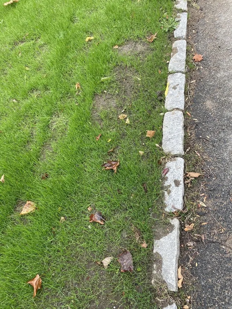 Reliable yard cleanup service in North Reading, MA - Heritage Landscape