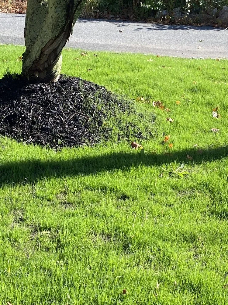 Professional outdoor landscaping near you across North Reading, MA - Heritage Landscape