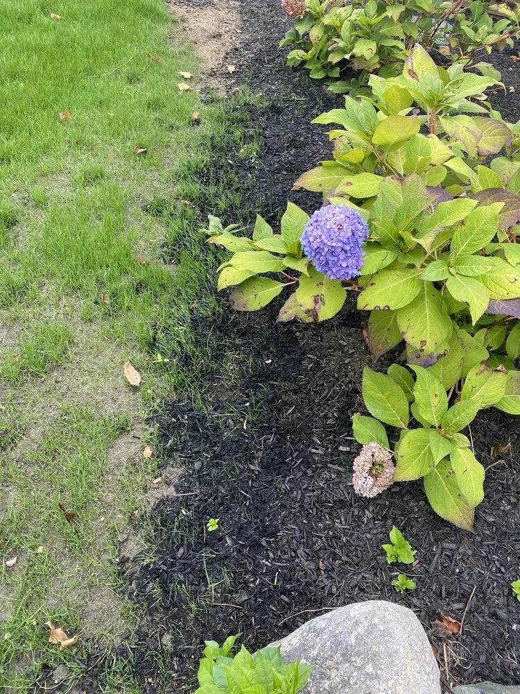 Top-rated landscape installation in North Reading, MA - Heritage Landscape