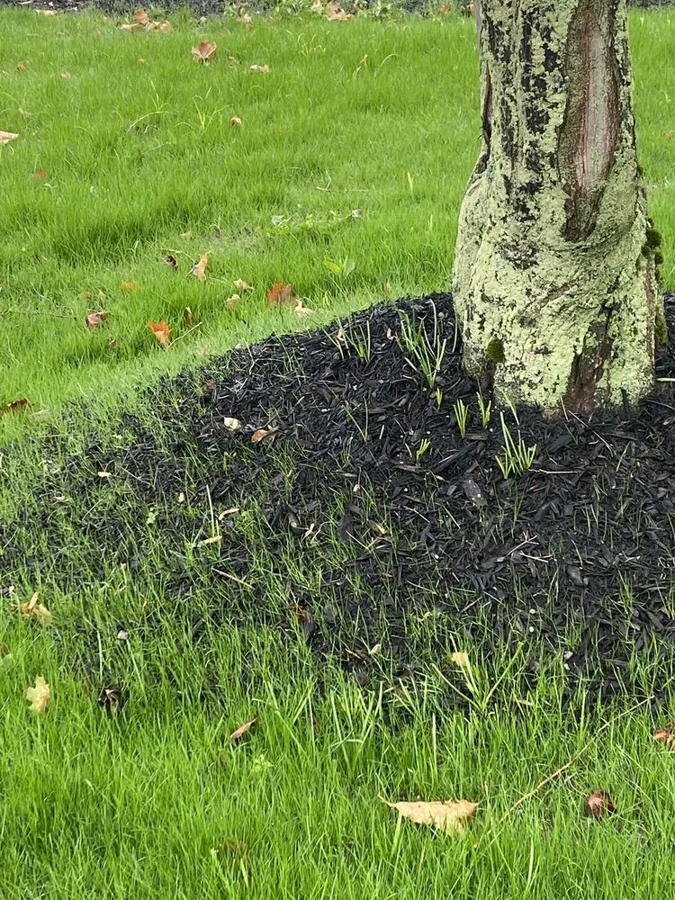 Top-rated lawn mowing service in North Reading, MA - Heritage Landscape