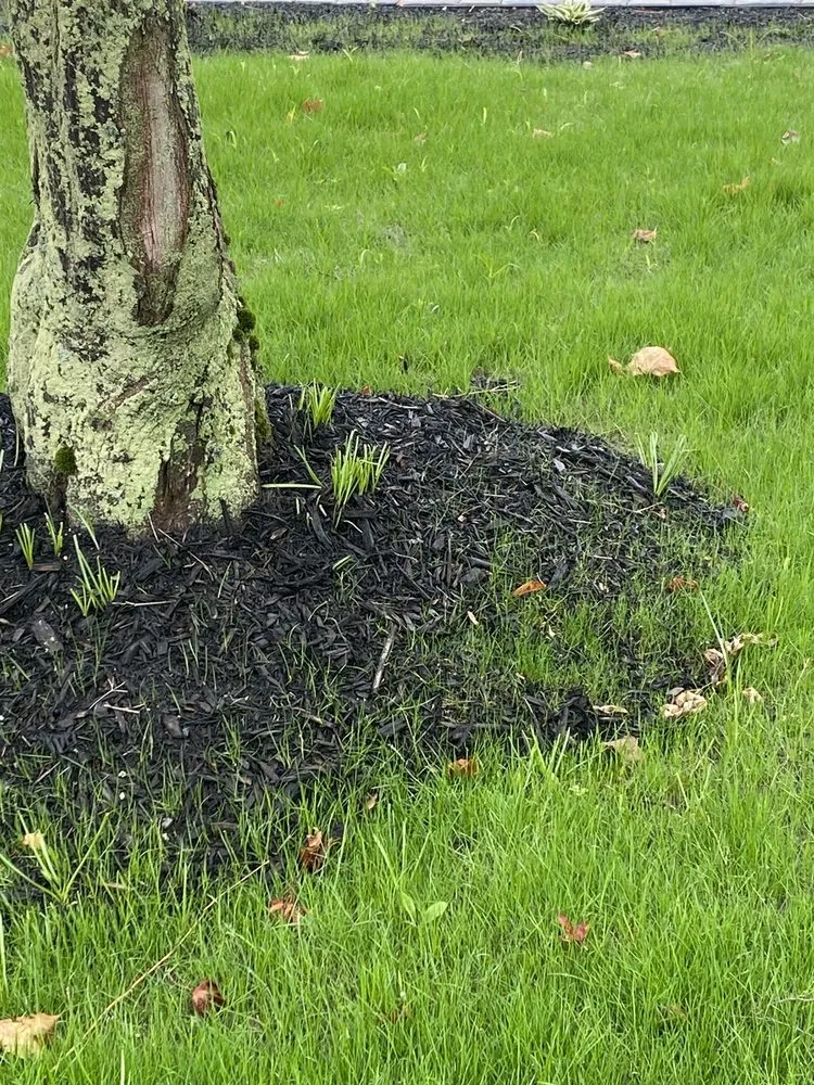 Reliable lawn care service for year-round maintenance in North Reading, MA by Heritage Landscape